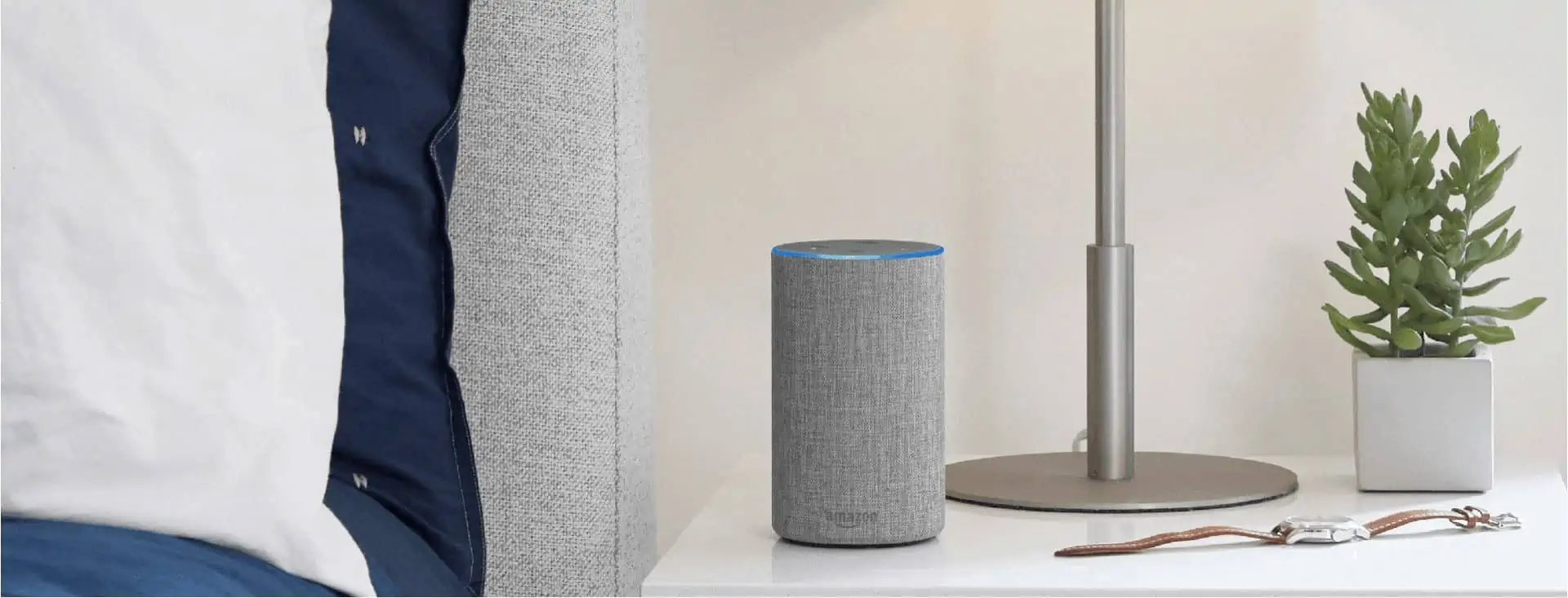 Alexa online hot sale setup